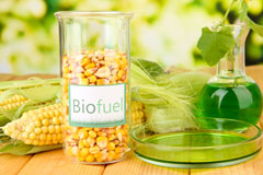 Stunts Green biofuel availability